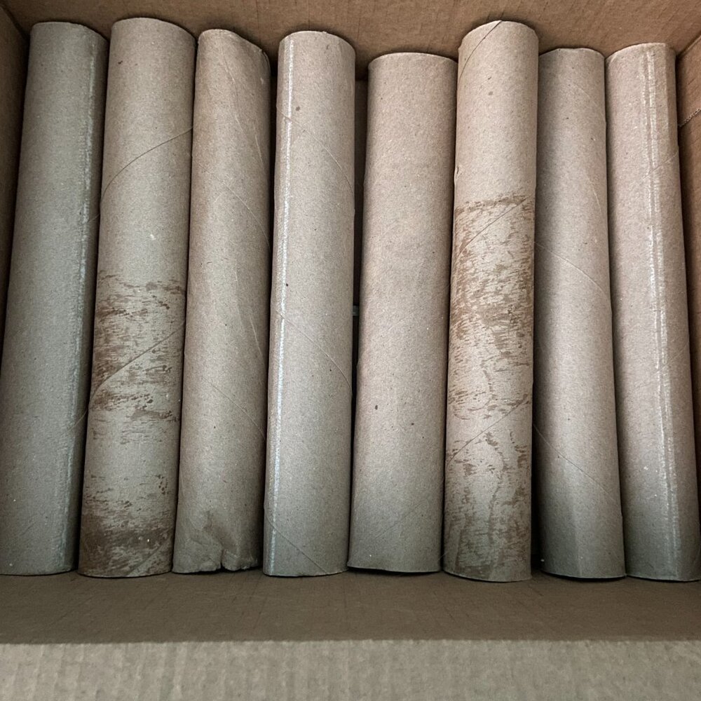 15 Towel Paper Cardboard rolls (11 inches Tall) for arts, crafts, projects, etc.